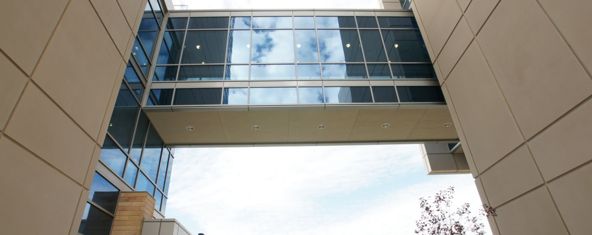 IMC GLASS SKYBRIDGE & CANAL BRIDGE 1